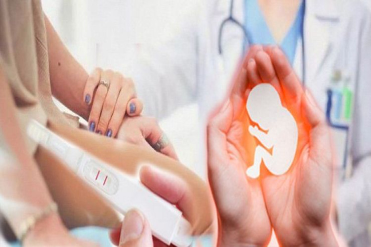 "Donor"luq maskası altında ticarət:  "Yumurta" satan həkimlərin işbirliyi, QANUN HARADADIR?   -YENİLƏNİB 