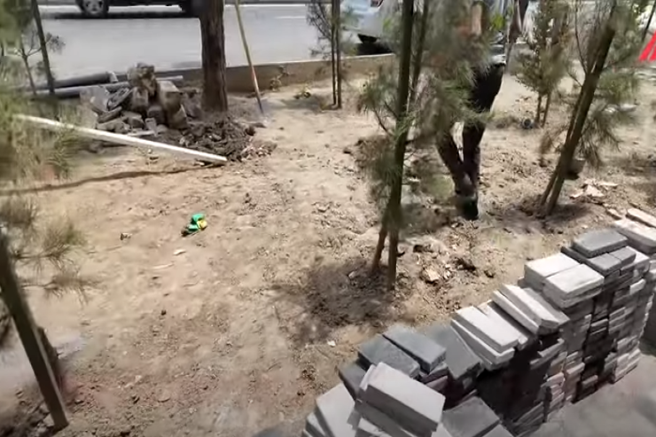 Tanınmış restoranın qarşısındakı ağaclar qəsdən qurudulur? -VİDEO 