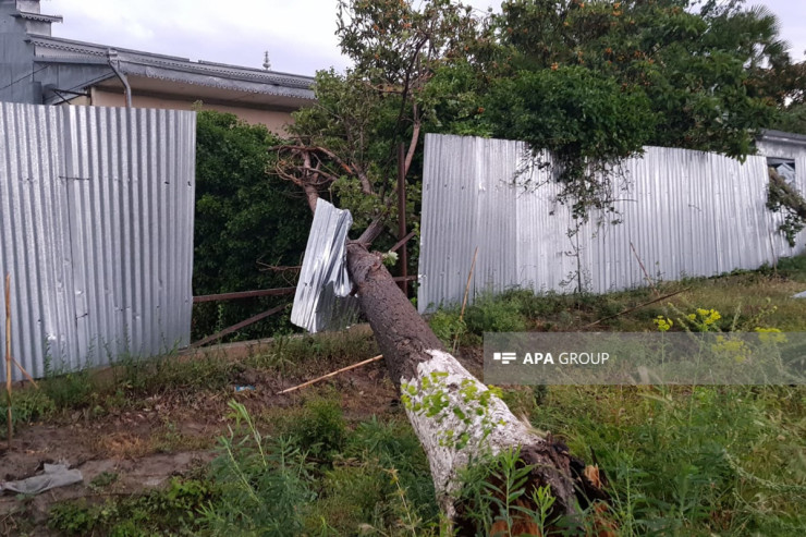 Gəncədə güclü külək hasarı uçurdu,  iki maşın əzildi 