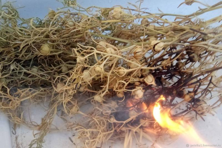 Rusiyaya üzərlik otu aparan azərbaycanlı HƏBS OLUNDU 