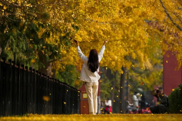 Bayram günlərində hava  necə olacaq? - PROQNOZ 