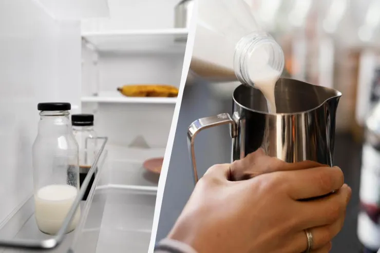 Soyuducuda süd saxlamaq üçün  ən yaxşı yer haradadır?