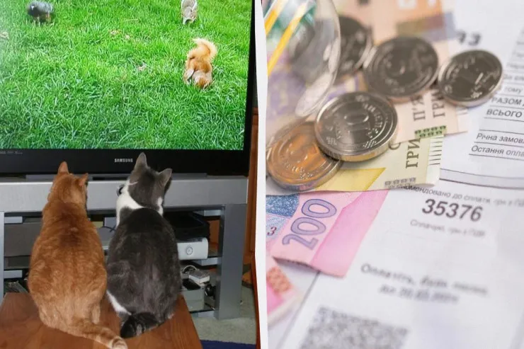 Keyfiyyətini itirmədən enerjini "yeməyi"  azalda bilən 5 televizor parametri 