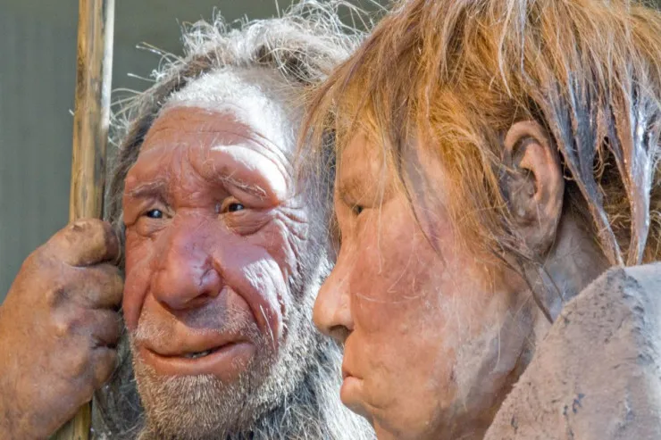 Neandertallar  yox olmayıb - genetik kodumuzun bir hissəsi olaraq qalır