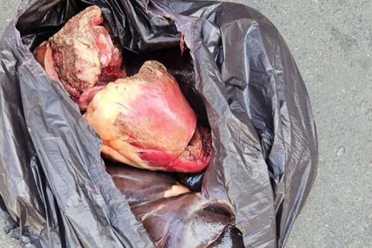 Bərdədə at əti satanlar  saxlanıldı