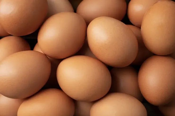 Yumurtanın xarab olduğunu  bilmək üçün  3 sadə test 