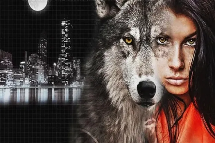 Tənha canavar kimi...   müdrik doğum tarixləri 