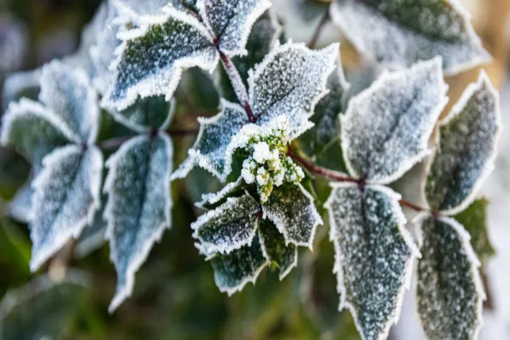 Hava soyuyur, 2 dərəcə şaxta olacaq  - Sabahın PROQNOZU 