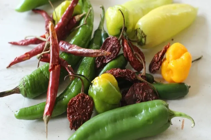 Ədviyyatlı yemək həqiqətən arıqlamağa  kömək edirmi?