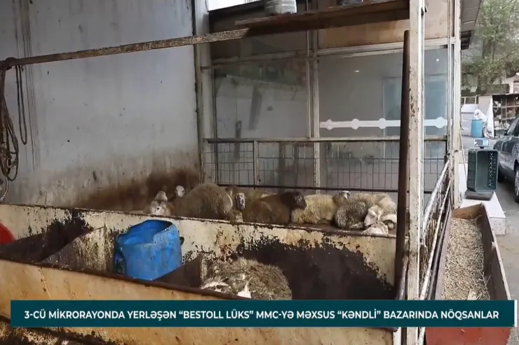 Bakıda “Kəndli” bazarında YOXLAMALAR:  ciddi nöqsanlar aşkarlandı - VİDEO 