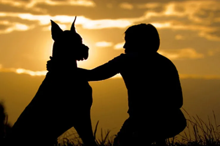 İtlər insanların qohumudur? - ARAŞDIRMA 