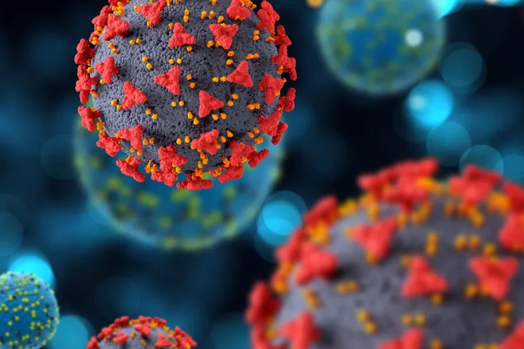 Səsdə xırıltı,  boğaz tutulması   - Yeni COVID ştammının əlamətləri 