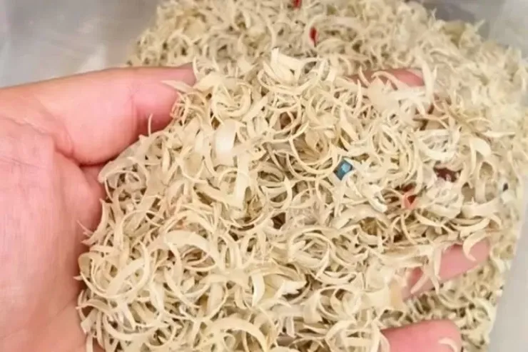 Dırnaq qırıntılarından dərman  hazırlanır - Bunu bilirdiniz? 