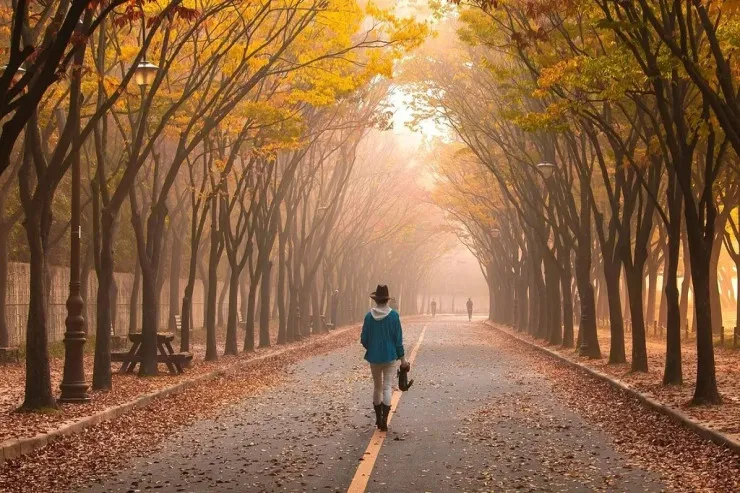 Sabah elə hava olacaq ki...  - PROQNOZ