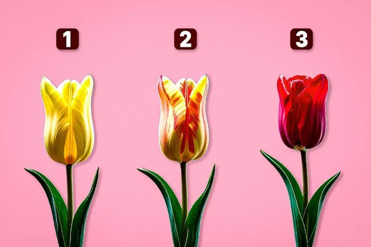 Önümüzdəki aylar üçün şəxsi PROQNOZ:  çiçək testi gələcəyinizi AÇIQLAYACAQ 