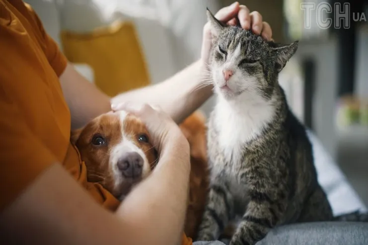 Niyə psixopatlar heyvanları sevmir? 