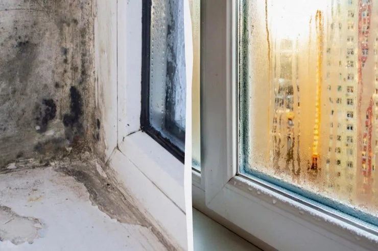 Kifin qarşısını almaq üçün pəncərələri  nə vaxt açmaq lazımdır? 