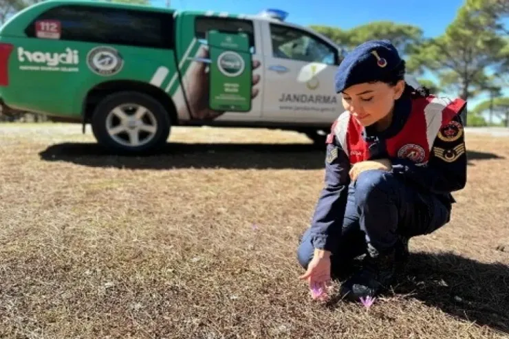 Bu çiçəyi qoparmağın cəriməsi 22 min manatdır 