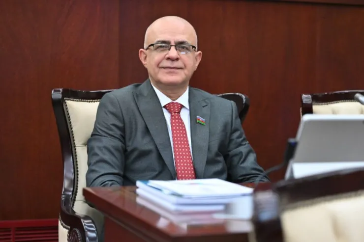 Deputat Elçin Mirzəbəyli ƏHD Partiyasından çıxarıldı 