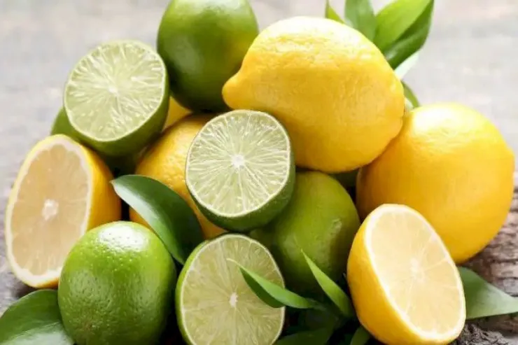 Limon yoxsa laym?  - O, daha çox faydalıdır