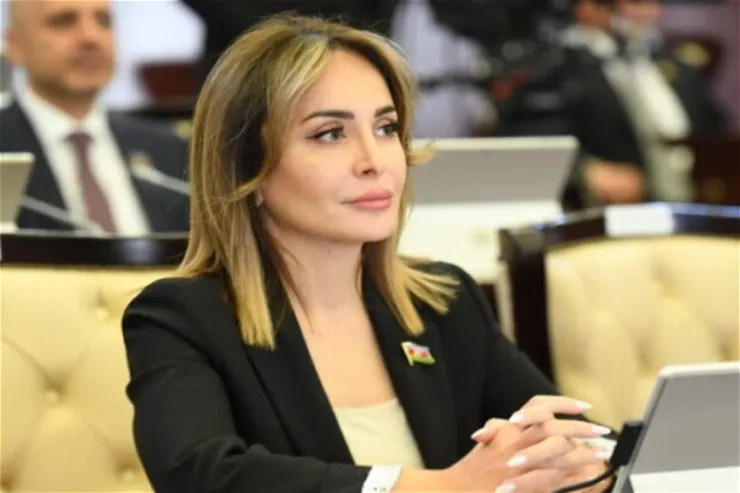 “Zəngilan ağıllı dövlət idarəçiliyi və ağıllı infrastrukturun yaradıldığı məkan kimi fərqlənir” - Deputat