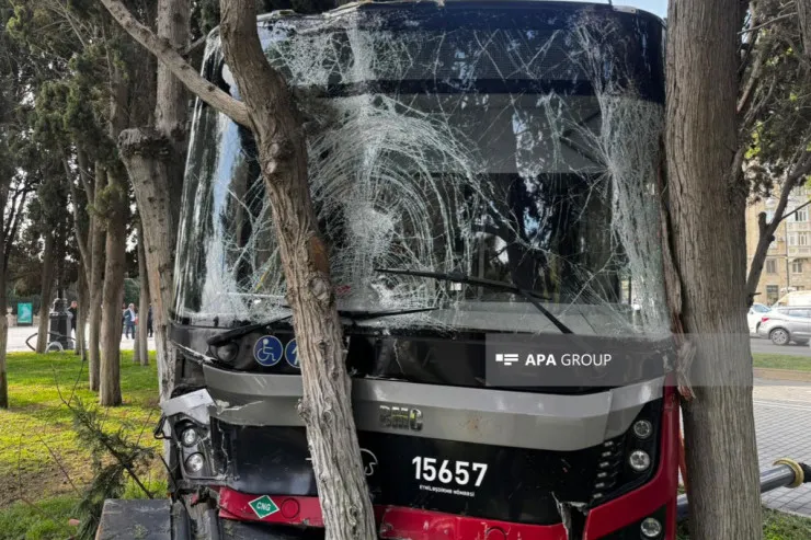 Bulvarda ağaca çırpılan “BakuBus”un  sürücüsünün təzyiqi qalxıbmış - YENİLƏNİB 
