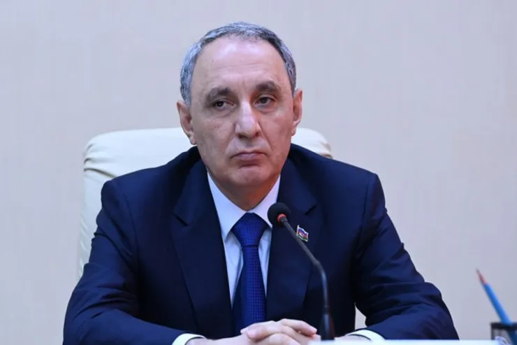 Kamran Əliyev Braziliyaya getdi