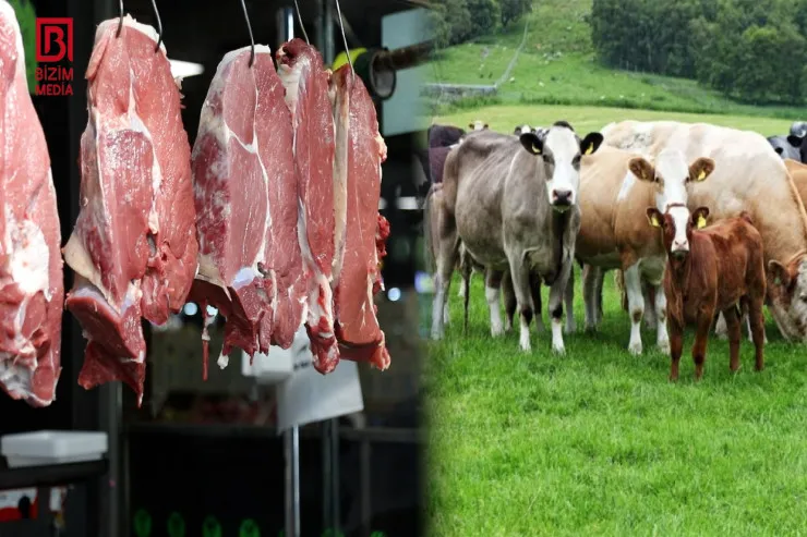 Dabaq xəstəliyi yoluxan əti yeyə bilərik? - HƏKİMDƏN CAVAB 