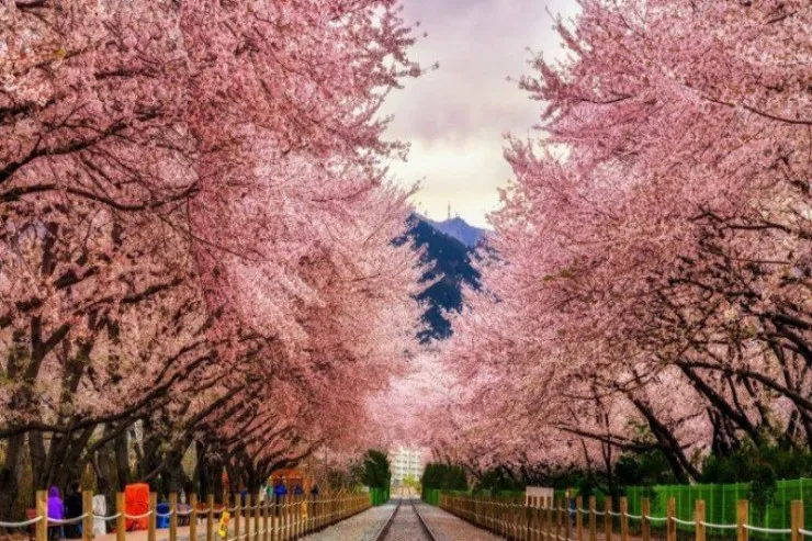 Xarici ölkədə həyatınızı xilas edəcək sözlər 