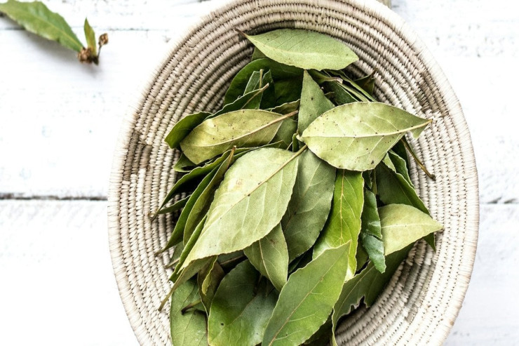 Şəkərləri böcəklərdən qorumağın ən asan yolu 