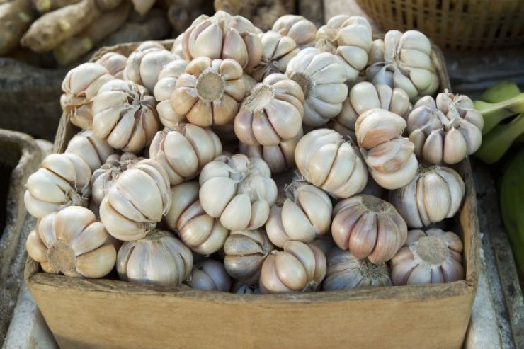 Sarımsağın gələn yayadək xarab olmadan  saxlanması üçün SADƏ SİRR 