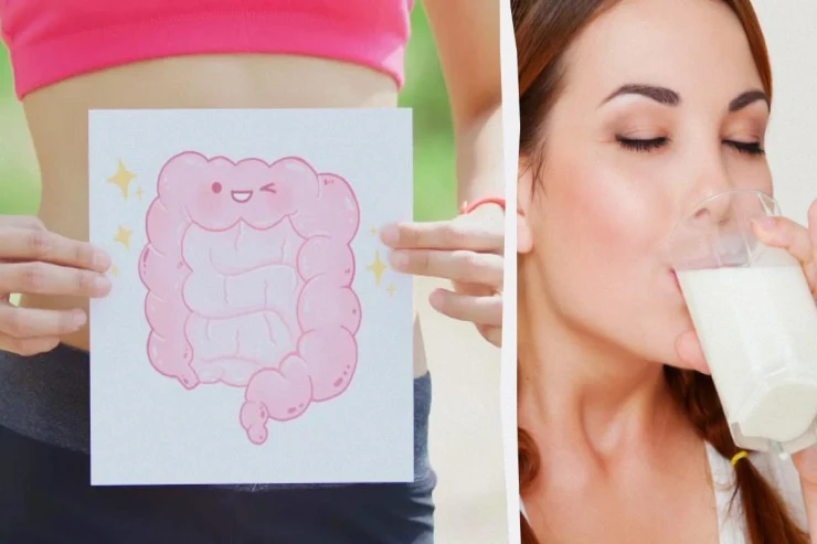 Süd və pendir  bağırsağa necə təsir edir?