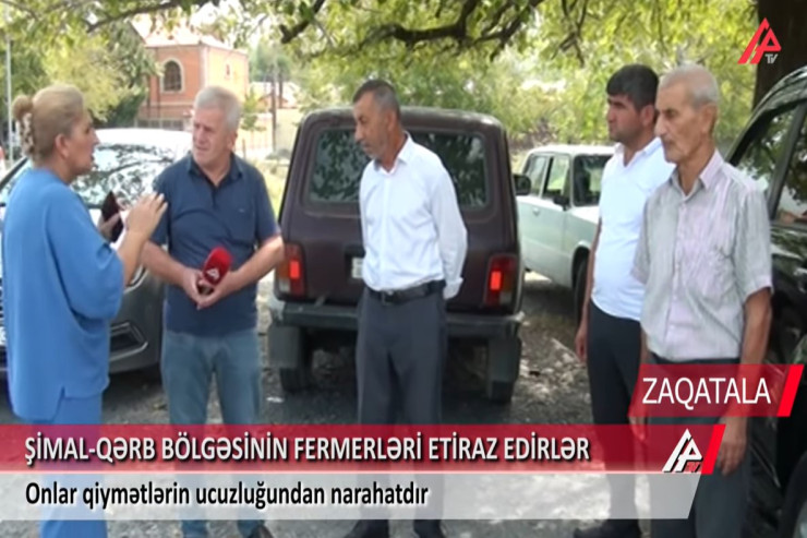 Zaqatalada fermerlər ETİRAZA QALXDI 