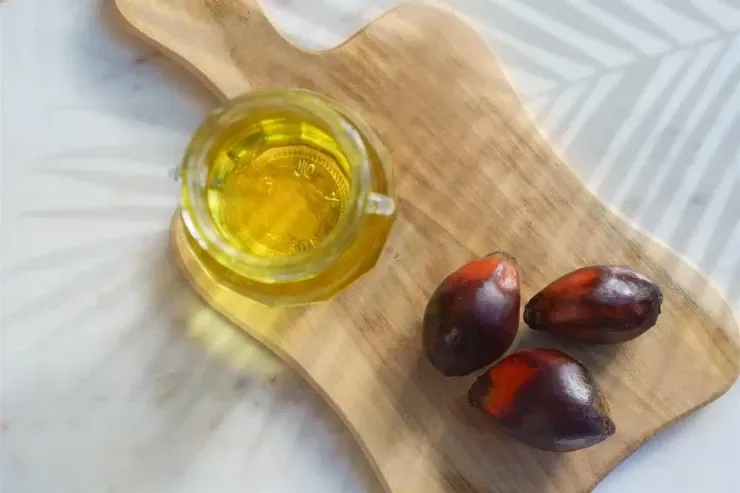 Hansı bitki yağı ən faydalıdır 