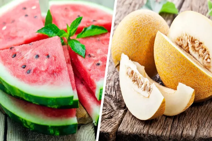 Hansı daha sağlamdır -  qovun,   yaxud  qarpız:   cavab TƏƏCCÜBLƏNDİRƏCƏK 