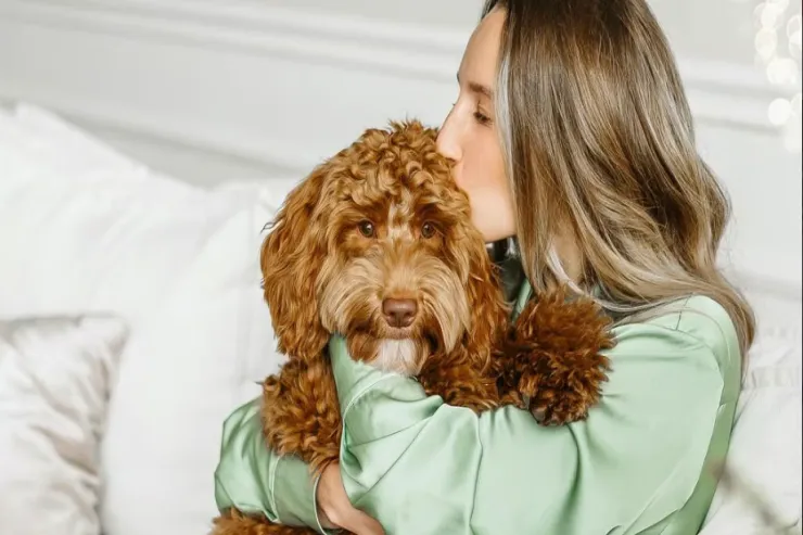 Arvadının itə həddindən artıq sevgisi səbəbindən  boşandılar