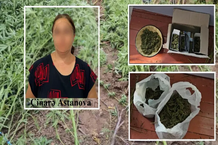 Saatlıda narkotik bitki yetişdirən  qadın saxlanıldı 