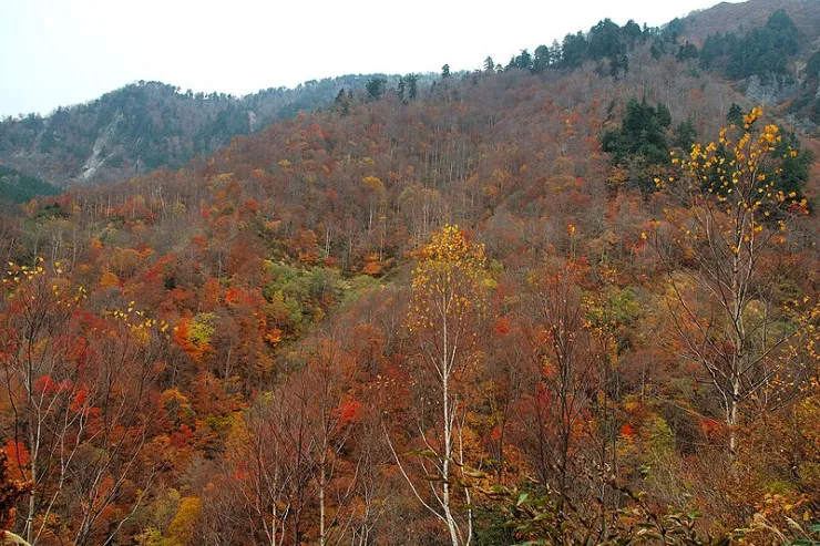 Azərbaycana payız bu tarixdə  gələcək