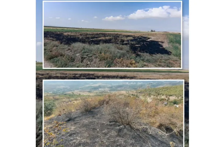 Füzuli və Xocavənddə yanğın törədənlər  saxlanıldı