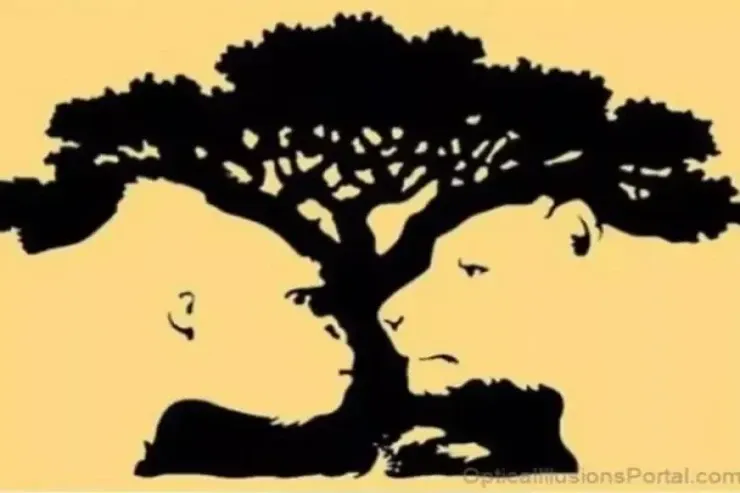 Şəxsiyyət TESTİ:   İlk gördüyünüz şəxsiyyət xüsusiyyətlərinizi  saniyələr ərzində üzə çıxaracaq