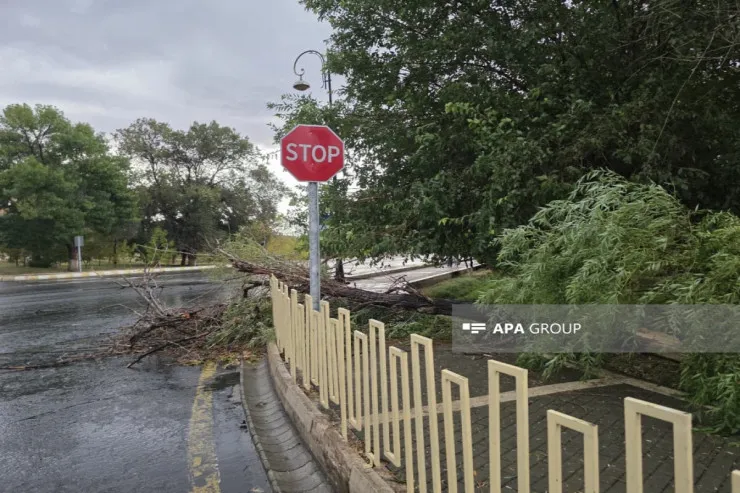 Güclü külək Naxçıvanda bədbəxt hadisəyə  səbəb oldu