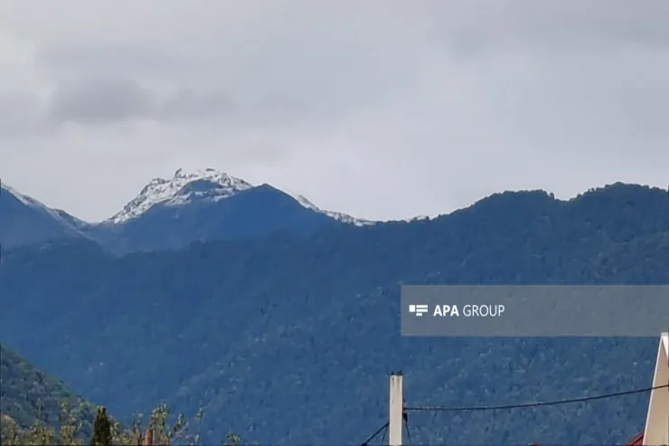 Zaqatalaya qar yağdı 