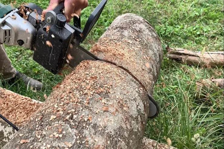 Ağac kəsirdi, laqonda ilə öz boğazını kəsib  öldü