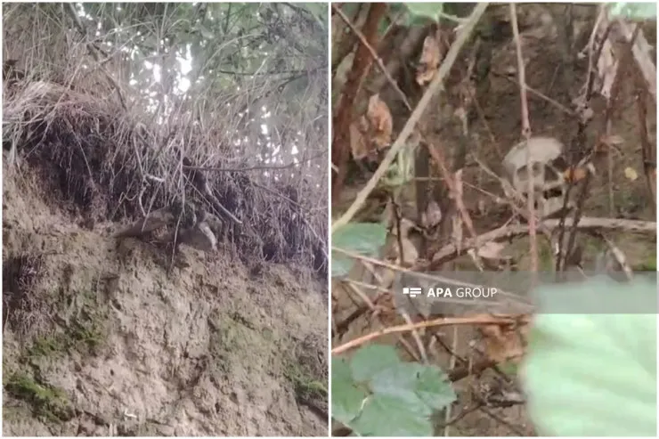 Qubada insan sümükləri  tapıldı