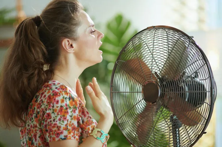 Bu il Avropada isti hava 16 mindən çox adamı  öldürüb