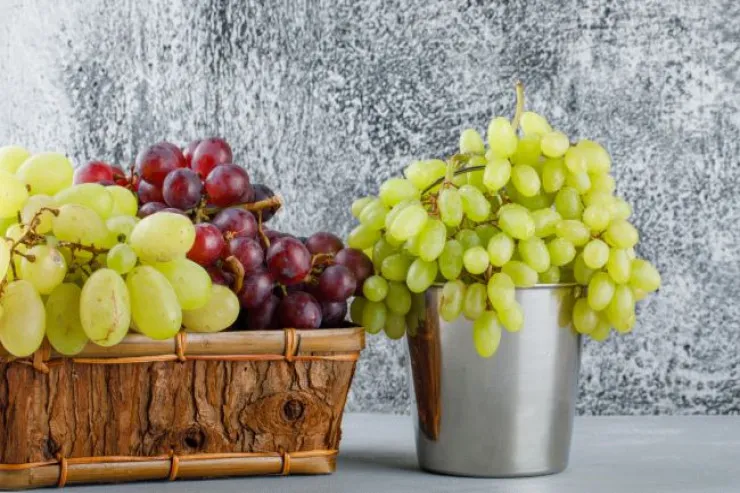 Qış üçün üzümü necə dondurmaq olar? 