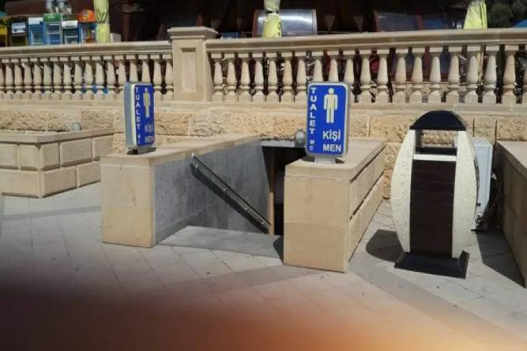 İctimai tualetlərdə yoluxa biləcəyimiz  xəstəliklər - ARAŞDIRMA 