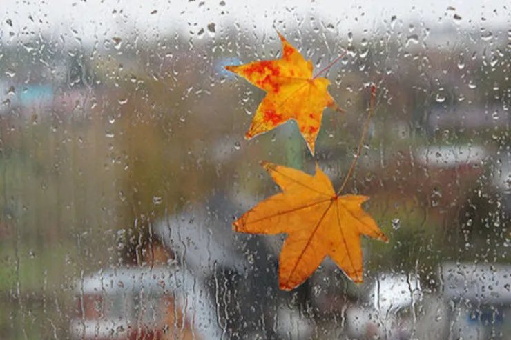 Əksər rayonlara yenə yağış yağır  - FAKTİKİ HAVA