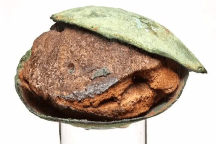 Ən qədim tort tapıldı - 4200 yaşı var 