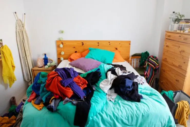 Evdə xaos yaradan 7 ZƏRƏRLİ VƏRDİŞ 